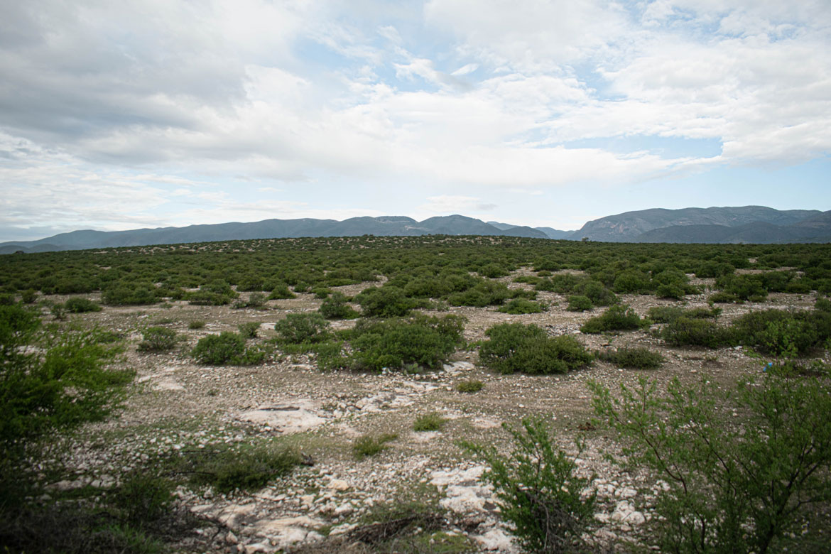 Llevar a México en la piel: Texturas del Altiplano por Kenia Hernández